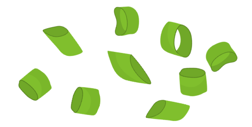 Spring Onion