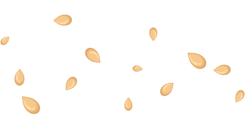 Sesame